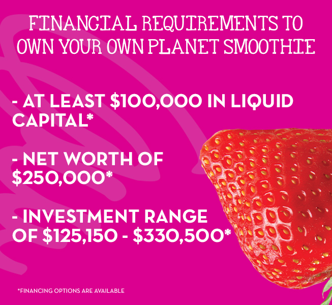 planet smoothie business plan