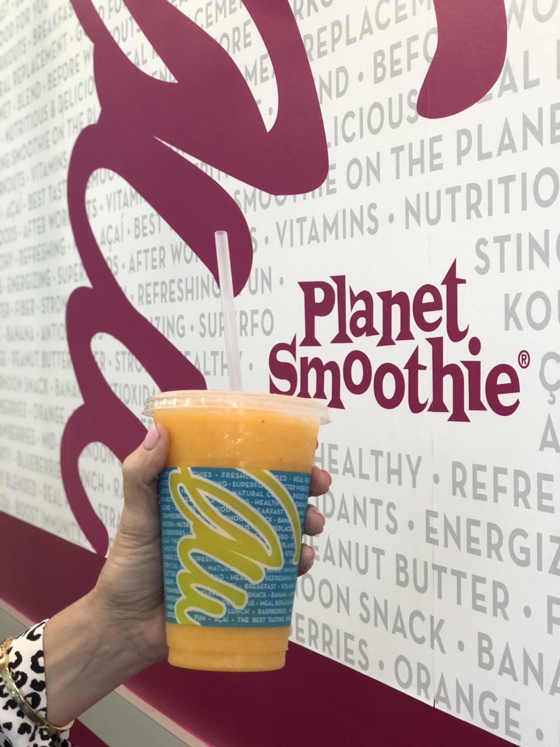 planet smoothie business plan