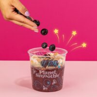 Planet Smoothie Investment Requirements